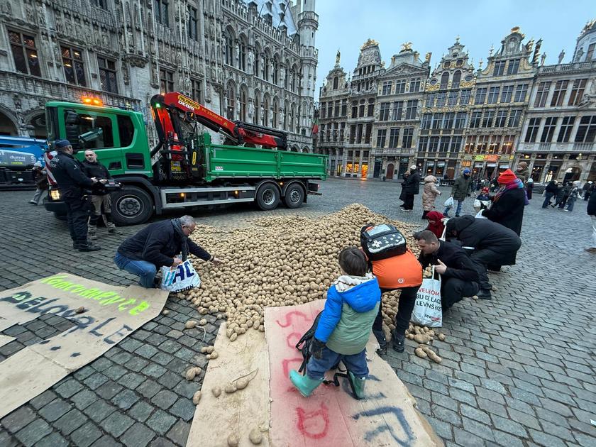 Dutch Farmer Apologizes to King After Potato Dump - News Directory 3