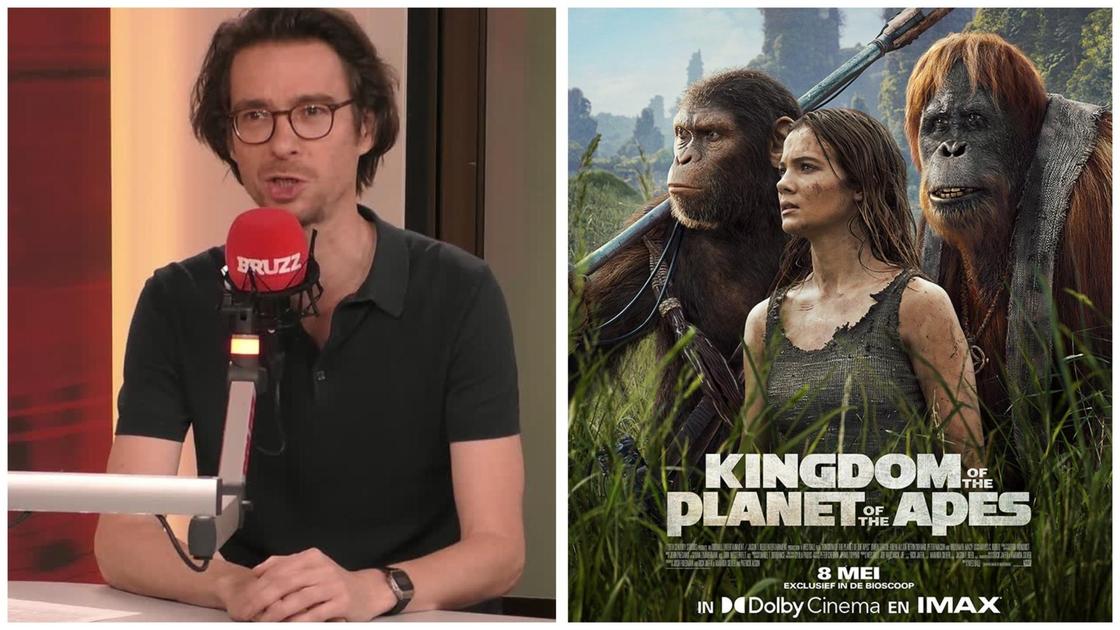 Kingdom of the planet of the apes: ‘A day at the zoo is much more exciting’