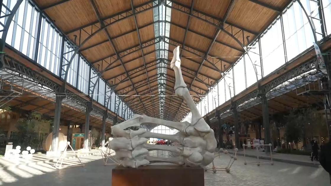 未払いの請求書と過失のある組織: Thurn & Taxis では Sculptura は歓迎されなくなりました