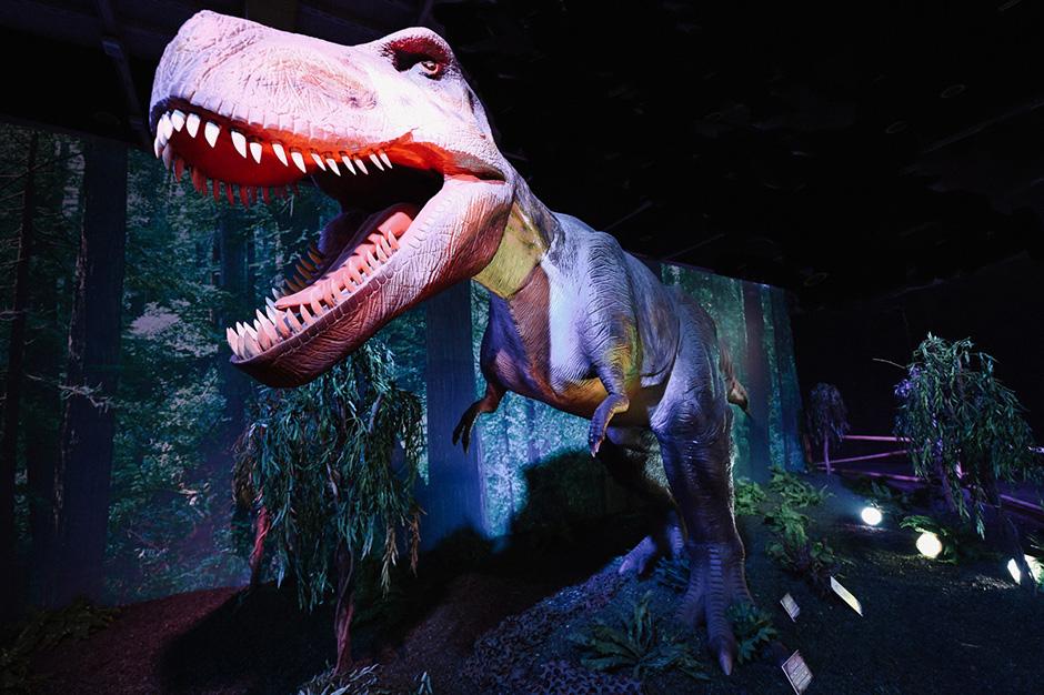 Expo: Dino World | BRUZZ