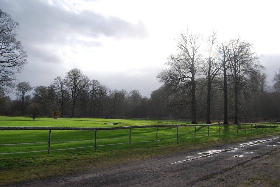 Protest Tegen Omkappen Bomen Aan Hippodroom Watermaal-Bosvoorde | BRUZZ